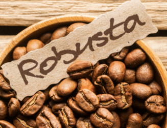 Cà phê Robusta