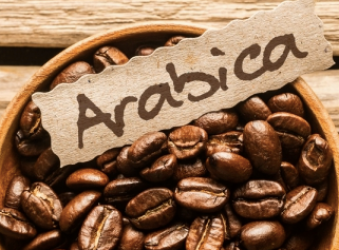 Cà phê Arabica