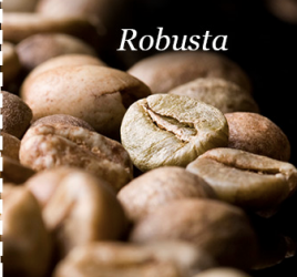 Cà phê Robusta