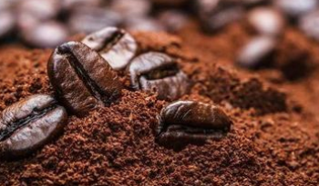 Cà phê Bột Arabica