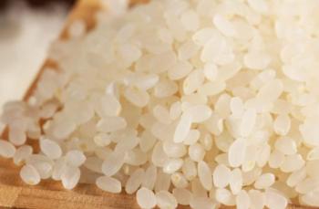 Gạo giống Nhật - Japonica