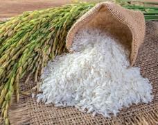 Việt Nam đẩy mạnh xuất khẩu gạo sang thị trường châu Phi