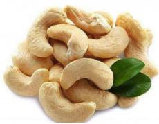 Hạt điều Việt Nam: Chất lượng thế nào? Tại sao bạn nên mua nó?