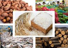 Ngành Nông nghiệp Việt Nam: Ngôi sao mới nổi trong sản xuất thực phẩm